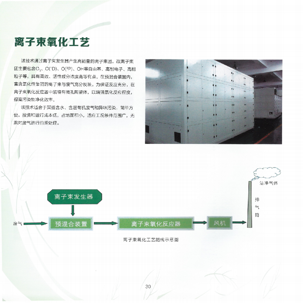 离子束氧化工艺